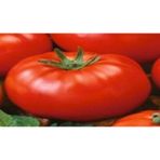 Tohum Bul Doğal Beefsteak Domates Tohumu(20 Adet)