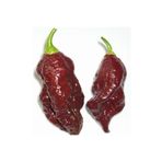 Tohum Dünyam 10 Adet Kahverengi Bhut Jolokia Biber Tohumu
