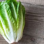 Tohum Dünyam 100 Adet Parris Island Romaine Marul Tohumu