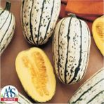 Tohum Dünyam 5 Adet Bush Delicata Bal Kabağı Tohumu