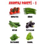 Tohum Dünyam Avantaj Paketi-1 Domates, Biber, Hıyar, Patlıcan, Maydanoz, Marul Tohumları, Toplam +300 Adet Tohum