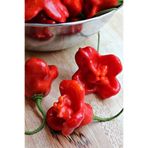 Tohum Dünyam Hafif Acı Gül Biberi Starfish Pepper Tohumu / 5+ Adet Tohum