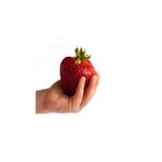 Tohum Dünyam Ithal Nadir Dev Çilek Tohumu 20 Adet Tohum Giant Çilek