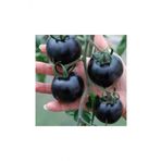 Tohum Dünyam Siyah Domates Tohumu 20 Adet Tohum Black Tomato