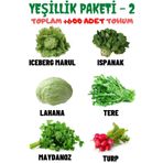 Tohum Dünyam Yeşillik Paketi-2 Iceberg Marul, Ispanak, Lahana, Tere, Maydanoz, Turp, Tohum Seti 600 Adet Tohum