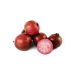 Tohum Dünyası 5 Adet Çilek Guava Meyvesi Tohumu