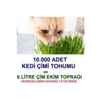 Tohum Gübre 10.000 Adet Kedi Çimi Tohumu Ve 8 Litre Kedi Çimi Ekim Torfu