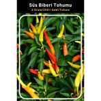 Tohum Seç Renkli Yukarı Bakan Süs Biberi Tohumu, 2 Gram/250+ Adet Tohum - 50 Adet