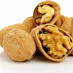 TohumBul Tüplü İverto Ceviz Fidanı