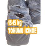 Tohumcu Kikizade Kültür Mantarı Deneme Kiti 12 -13 kg Full Paket