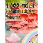 Tohumcu Kikizade Pembe Istiridye Mantarı Miseli Tohumu Vakumlu 1000 Adet 3 Adet Micro Torba ( Ekim Kılavuzu) - 1 Adet