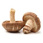 Tohumcu Kikizade Shitake Mantarı Tohumu 100 Gram 2 Adet Ekim Torbası - 1 Paket