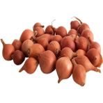 Tohumcumm 100 Adet Tohum Nadir Arpacık Acısız Kıska Kuru Soğan Tohumu Organik Hobi Bahçe Yetiştiricilik Tohum - 1 Paket