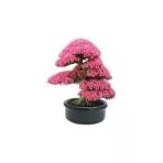 Tohumcumm 20 Adet Tohum Bodur Pembe Erguvan Bonzai Ağac Ekim Seti Saksı Toprak Sürpriz Hediye Bonsai Tohumu