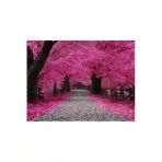 Tohumcumm 5 Adet Tohum Nadir Bulunan Japon Pembe Sakura Ağacı Tohumu İthal Ağaç Tohumu Hediye Tohumlu