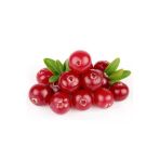 Tohumcumm Cranberry Tohumu Turna Yemişi Tohumu 5 Adet Tohum