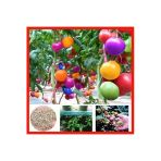 Tohumcumm Gökkuşağı Cherry Domates Tohumu Regarenk Domates Tohumu 10 Adet Tohum