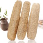 Tohumcumm Lif Sünger Kabak Tohumu / 5+ Adet Tohum - 1 Paket