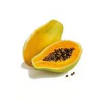 Tohumcumm Papaya Ağacı Tohumu Ithal Tropikal Papaya Tohumu 3 Adet Tohum + Saksı Toprak