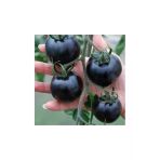 Tohumcumm Siyah Domates Tohumu 5 Adet Tohum Black Tomato