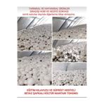 TohumGübre 30.000 Adet Beyaz Şapkalı Kültür Mantarı Tohumu + Kılavuz + Hediye Üzüm Fidanı Tohumu