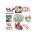 TohumGübre 3000 Adet Beyaz Şapkalı Kültür Mantarı Tohumu