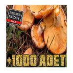 Tohumlar Fidana Kanlıca Mantarı Tohumları +1000 Adet - 1 Adet