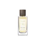Toi et Moi Grazia Daria EDP 100 ml Unisex Parfüm
