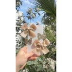 Toka Perisi Clara Altın Kahve Tonları Klips toka seti( 5/3 cm metal toka)