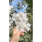 Toka Perisi Clara Beyaz Klips toka seti( 5/3 cm metal toka)
