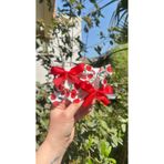 Toka Perisi Summer Kirazlı Fruit Çocuk 4`lü Toka Seti-3cm Metal Klips Toka