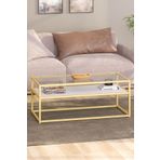 TOLIAHOME Modern Beyaz Gold Renk Metal Iskeletli Temper Camlı 2 Katlı Dikdörtgen Orta Sehpa