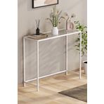 TOLIAHOME Modern Beyaz Renk Temper Camlı Dresuar Metal Konsol