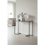 TOLIAHOME Modern Siyah Renk Temper Camlı Dresuar Metal Konsol Çiçeklik Saksılık