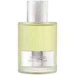 Tom Ford Beau De Jour EDP 100ml Erkek Parfüm, 888066103909
