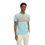 Tom Tailor 12433 Mint Haze Erkek T-Shirt