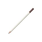 Tombow CI-RD2 Irojıten Chestnut Brown Kuru Boya Kalemi