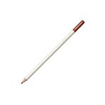 Tombow CI-RDL2 Irojıten Cinnamon Kuru Boya Kalemi