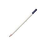 Tombow CI-RV8 Irojıten Lapis Lazuli Kuru Boya Kalemi