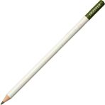 Tombow Irojıten Apple Green Kuru Boya Kalemi