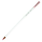 Tombow Irojıten Cameo Pink Kuru Boya Kalemi