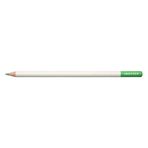 Tombow Irojıten Ice Green Kuru Boya Kalemi