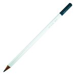 Tombow Irojıten Jay Blue Kuru Boya Kalemi