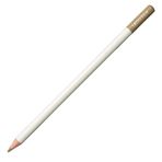 Tombow Irojıten Sallow Kuru Boya Kalemi