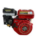 Tomking TK750 7.5 HP 25 mm Frezeli Krank Benzinli Motor