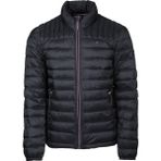 Tommy Hilfiger 150AN796-BLK Siyah Erkek Mont