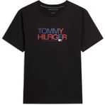 Tommy Hilfiger Art Erkek T-Shirt MW0MW42369, Siyah, L