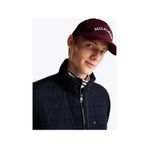 Tommy Hilfiger Erkek Mont