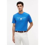 Tommy Hilfiger Erkek Normal Kesim Baskılı Pamuklu Yuvarlak Yakalı Kısa Kollu Mavi T-Shirt MW0MW42365-C4U
