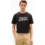 Tommy Hilfiger Erkek Normal Kesim Logo Imzalı Yuvarlak Yakalı Kısa Kollu Siyah T-Shirt MW0MW42385-BDS - XL